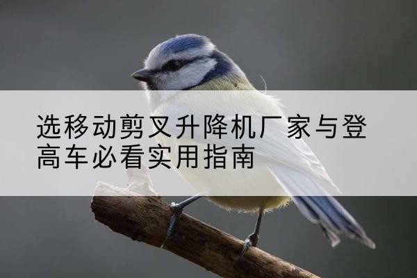 襄阳电动升降机厂家-选移动剪叉升降机厂家与登高车必看实用指南