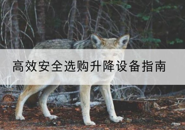 襄阳升降货梯厂家推荐-*安全选购升降设备指南