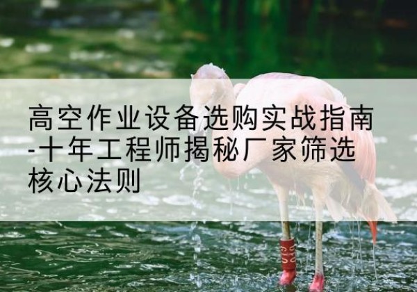 襄阳剪叉式升降机厂家-高空作业设备选购实战指南-十年工程师揭秘厂家筛选核心法则